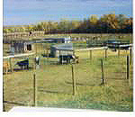 feedlot