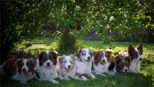 family picture