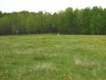 field