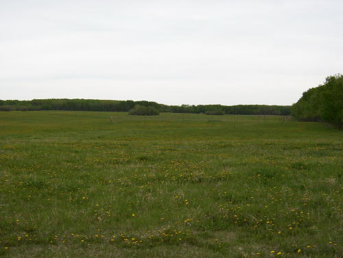 land